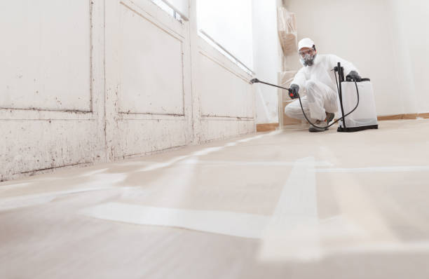 Post-remediation clearance in Forest Hill